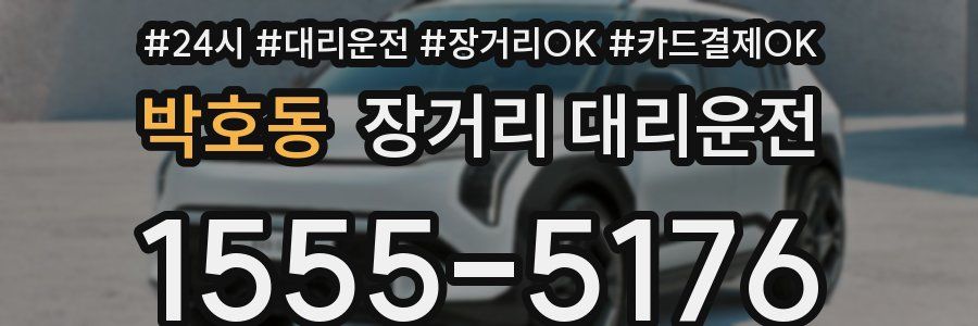박호동 장거리 대리운전