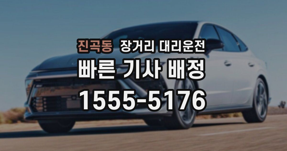 진곡동 장거리 대리운전