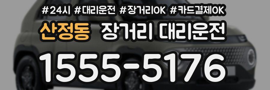 산정동 장거리 대리운전