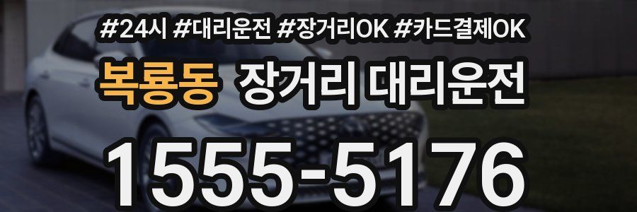 복룡동 장거리 대리운전