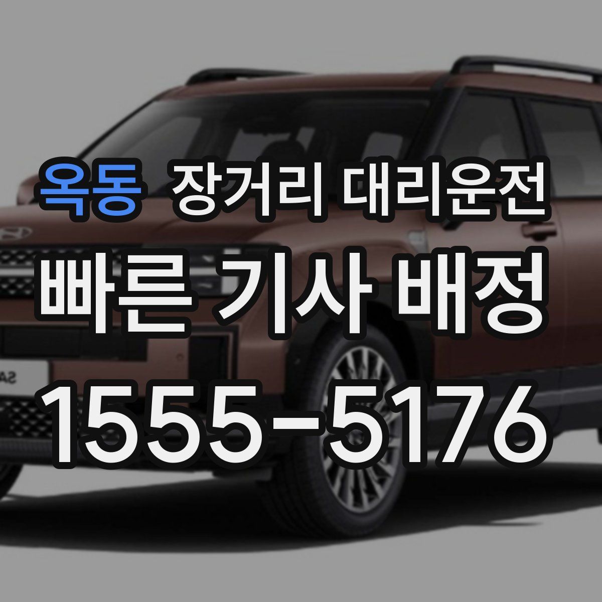 옥동 장거리 대리운전