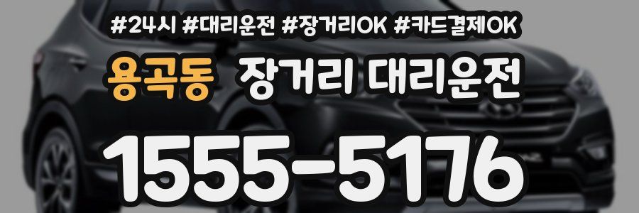 용곡동 장거리 대리운전