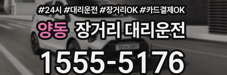 양동 장거리 대리운전