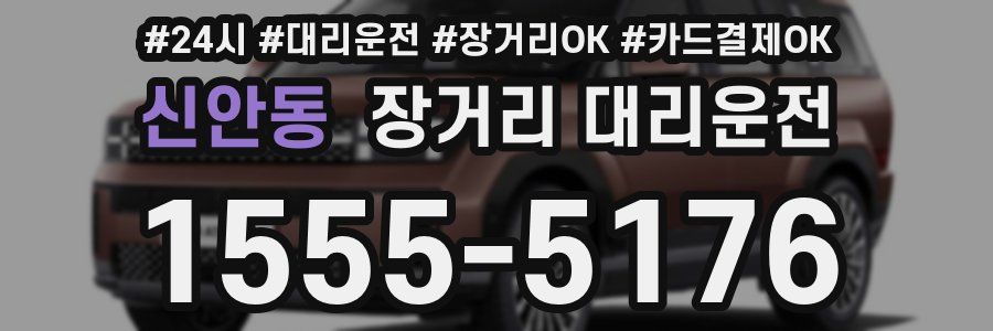신안동 장거리 대리운전