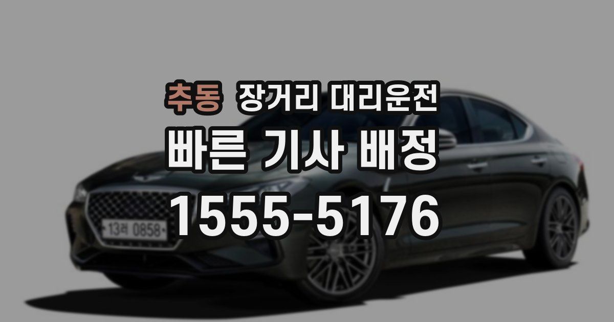 추동 장거리 대리운전