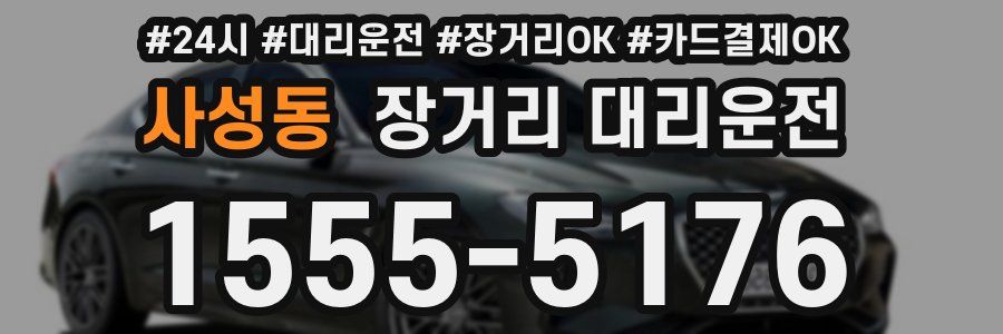 사성동 장거리 대리운전