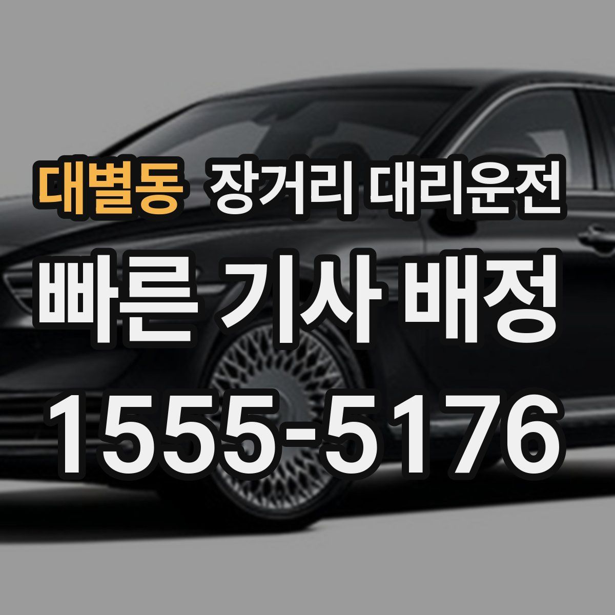 대별동 장거리 대리운전