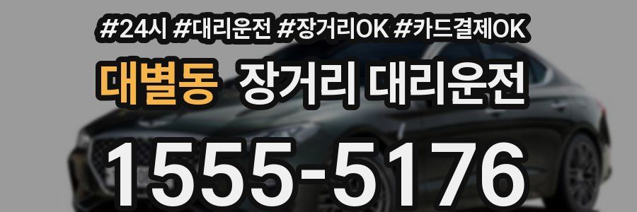 대별동 장거리 대리운전