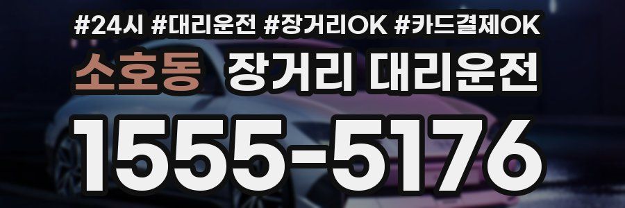 소호동 장거리 대리운전