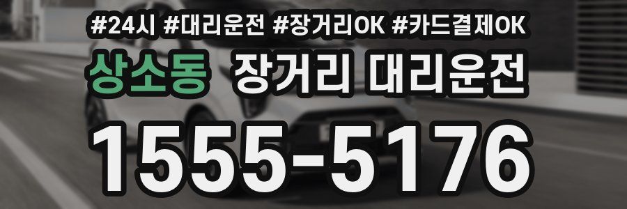 상소동 장거리 대리운전