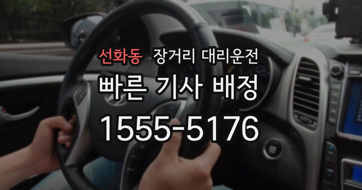 선화동 장거리 대리운전