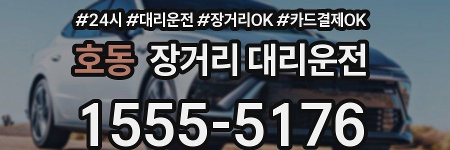 호동 장거리 대리운전