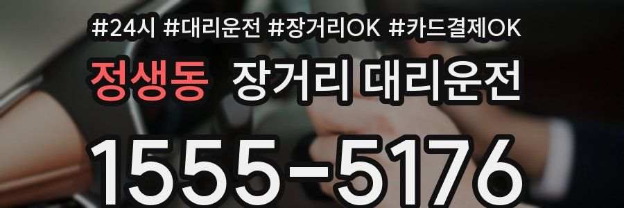 정생동 장거리 대리운전