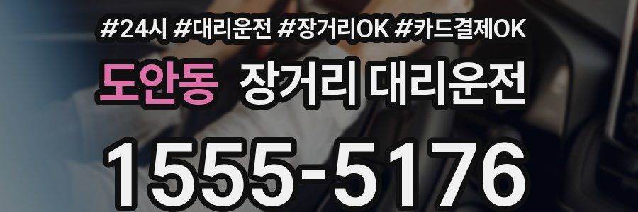 도안동 장거리 대리운전