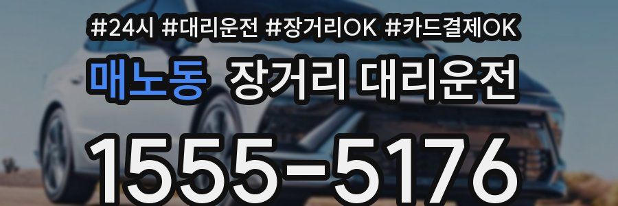 매노동 장거리 대리운전