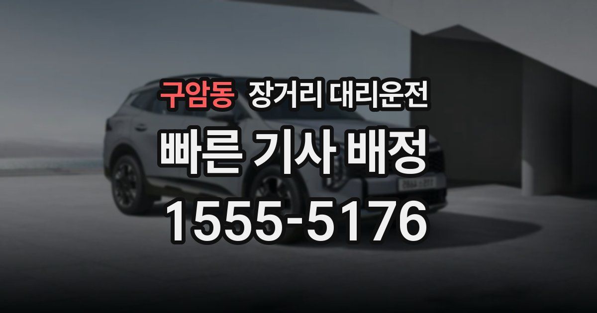 구암동 장거리 대리운전