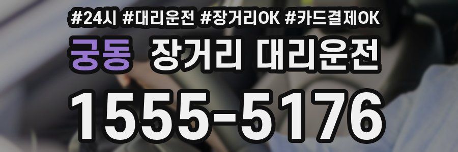 궁동 장거리 대리운전