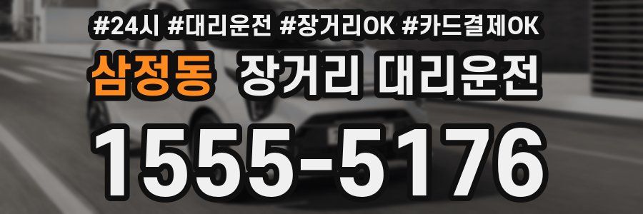 삼정동 장거리 대리운전