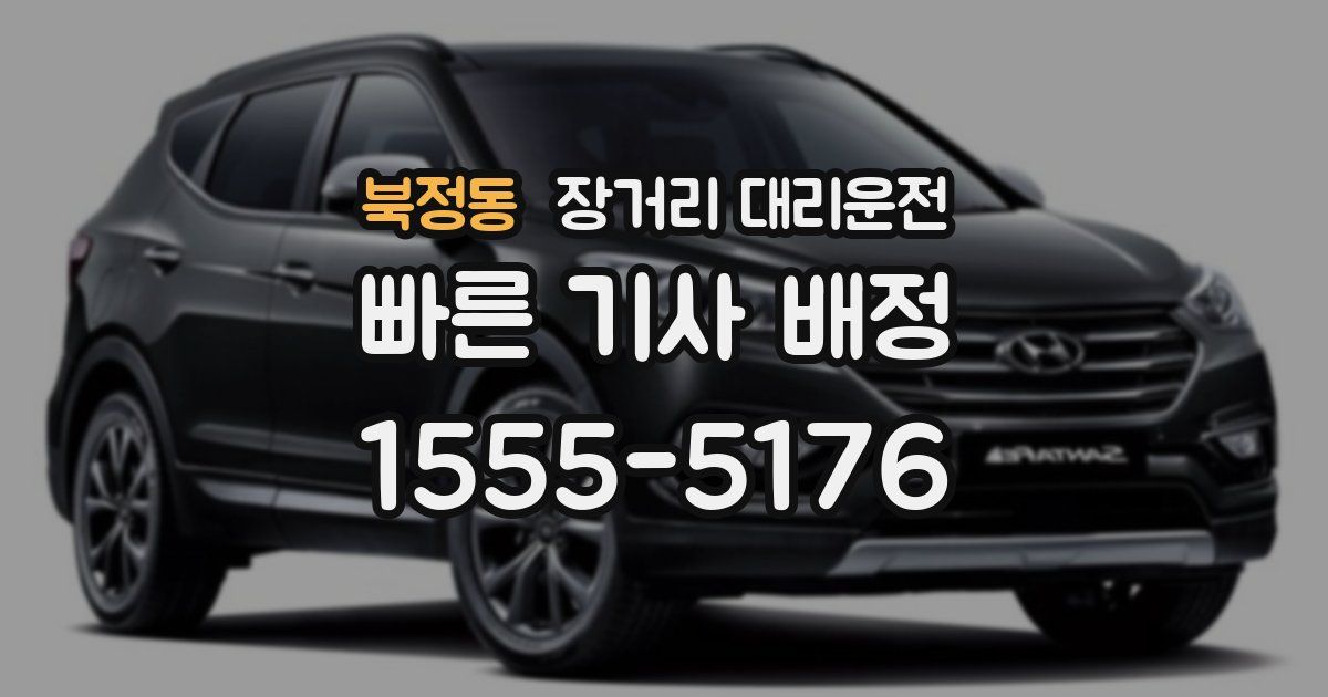 북정동 장거리 대리운전