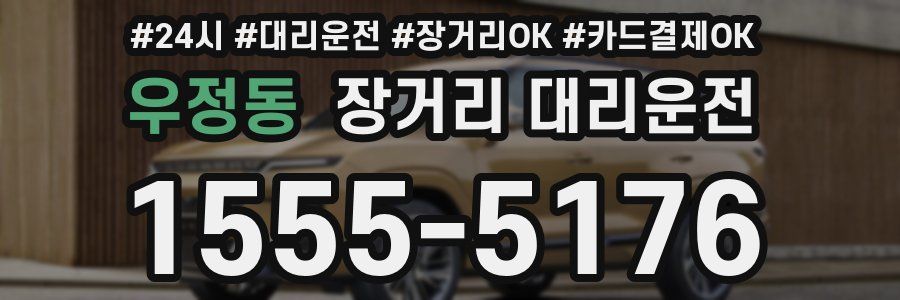 우정동 장거리 대리운전