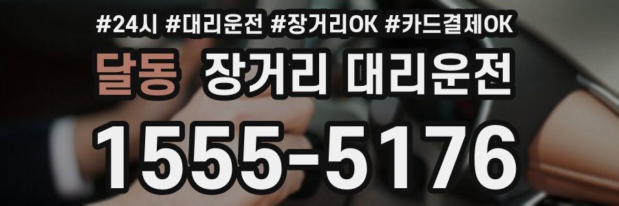 달동 장거리 대리운전