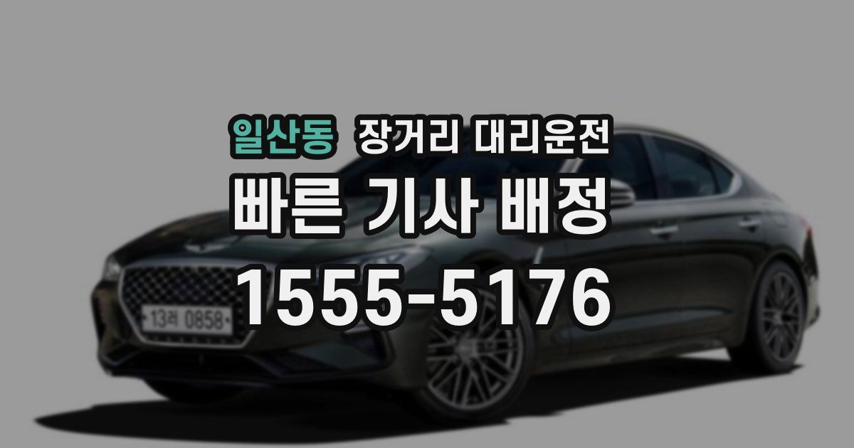 일산동 장거리 대리운전