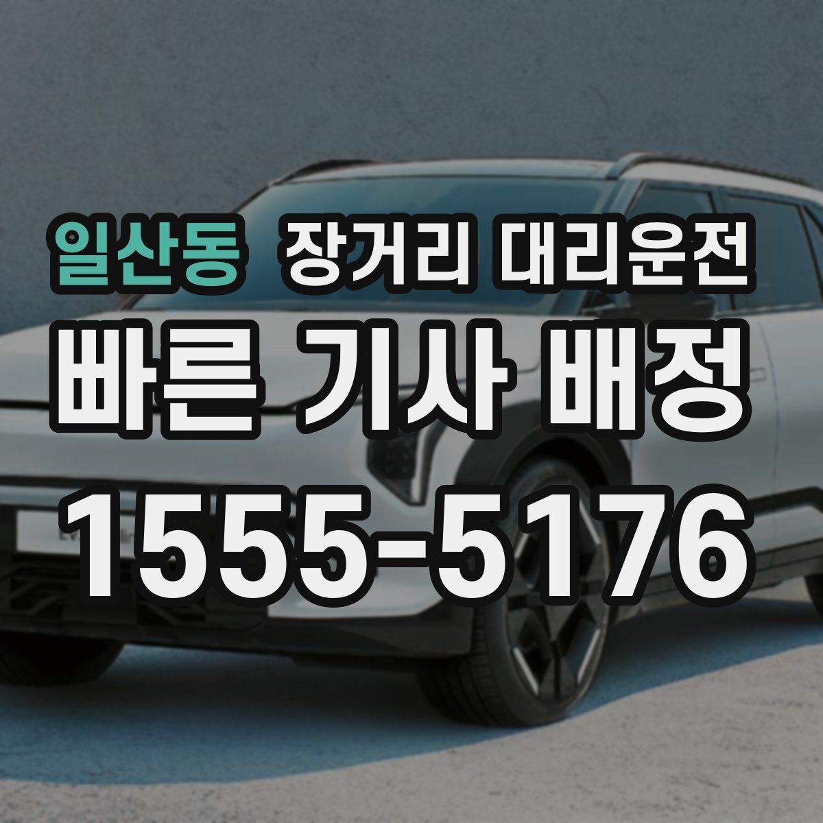일산동 장거리 대리운전