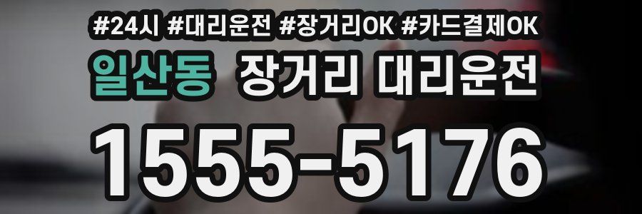 일산동 장거리 대리운전