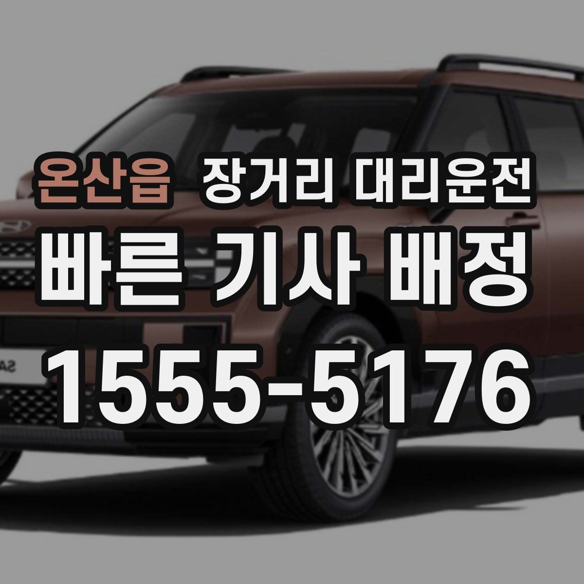 온산읍 장거리 대리운전