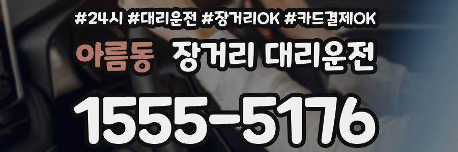 아름동 장거리 대리운전