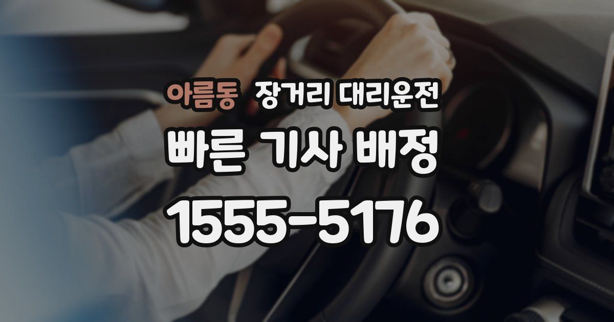 아름동 장거리 대리운전