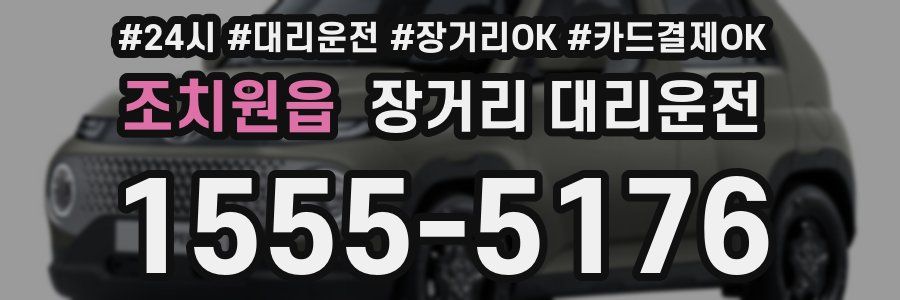조치원읍 장거리 대리운전