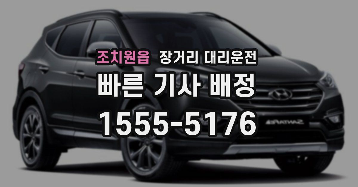 조치원읍 장거리 대리운전