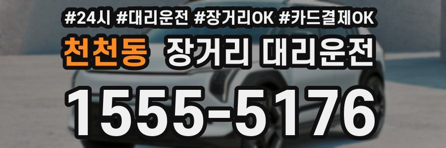 천천동 장거리 대리운전