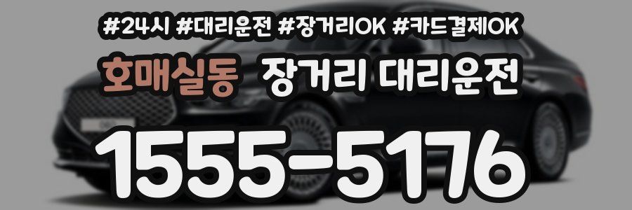 호매실동 장거리 대리운전