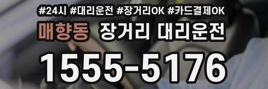 매향동 장거리 대리운전