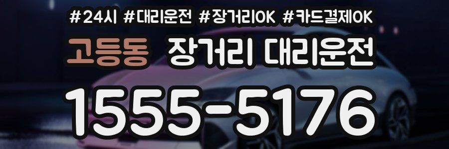 고등동 장거리 대리운전