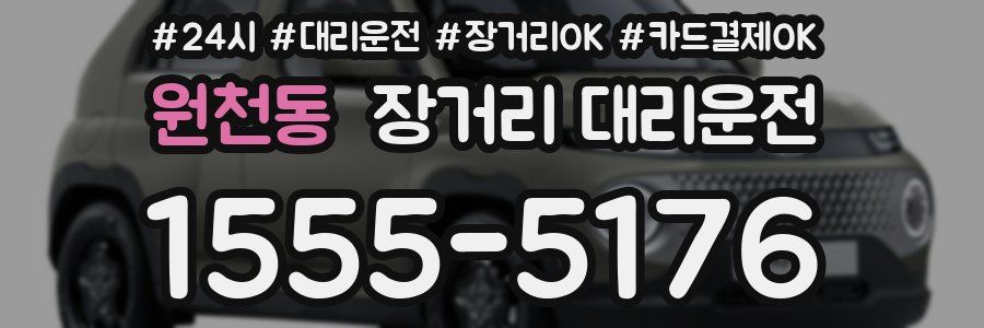 원천동 장거리 대리운전