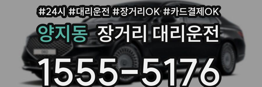 양지동 장거리 대리운전