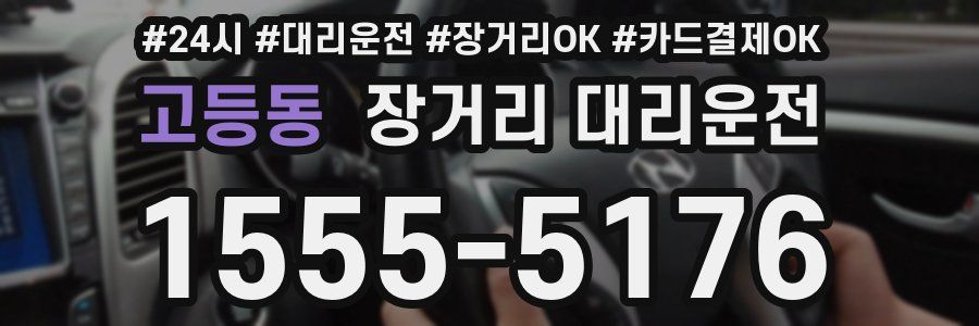 고등동 장거리 대리운전