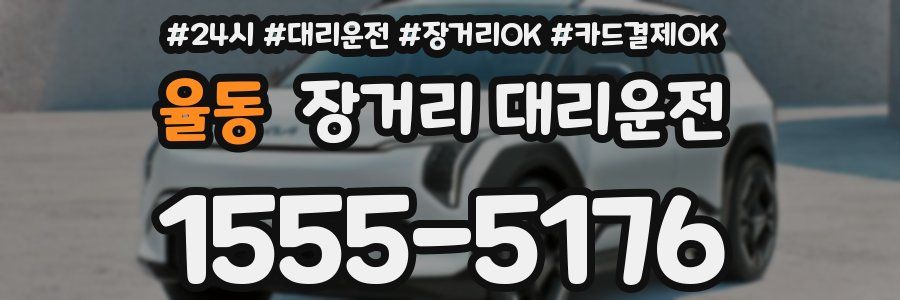 율동 장거리 대리운전