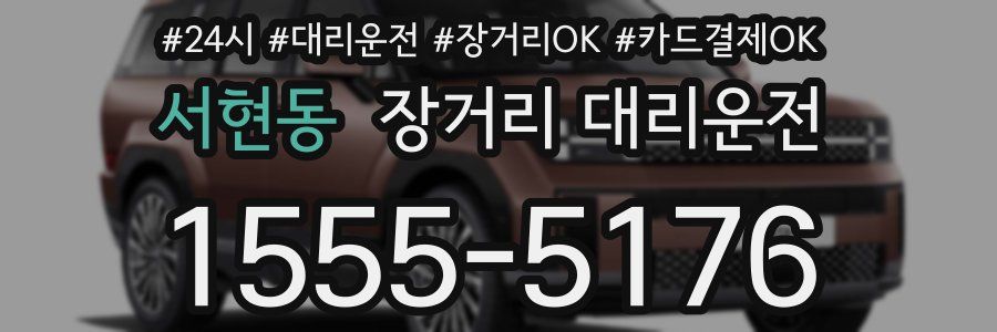 서현동 장거리 대리운전