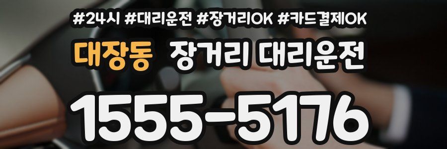 대장동 장거리 대리운전