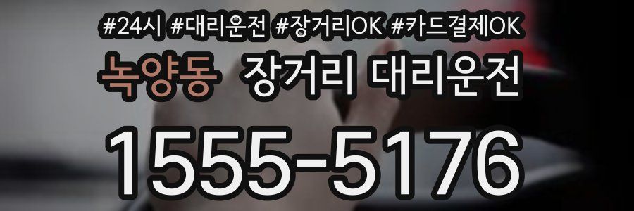 녹양동 장거리 대리운전