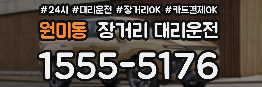 원미동 장거리 대리운전