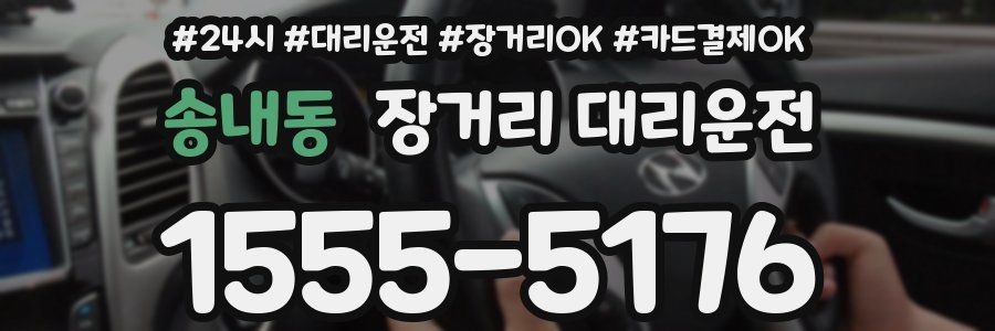 송내동 장거리 대리운전