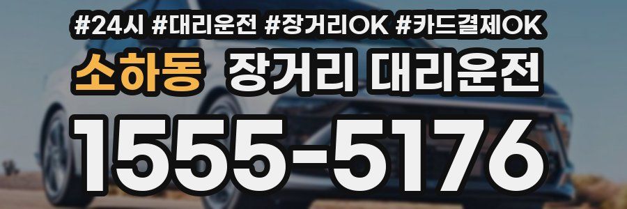 소하동 장거리 대리운전