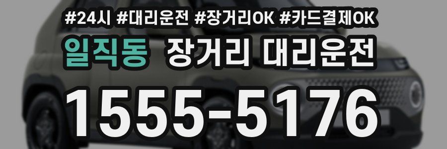 일직동 장거리 대리운전