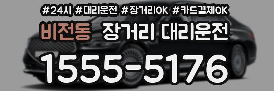 비전동 장거리 대리운전