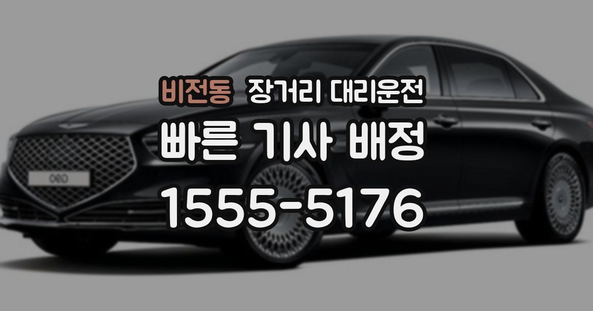 비전동 장거리 대리운전